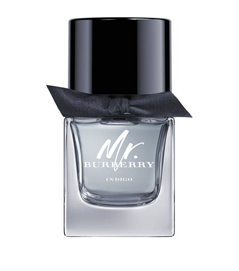 mr burberry parfume|mr Burberry indigo 50ml.